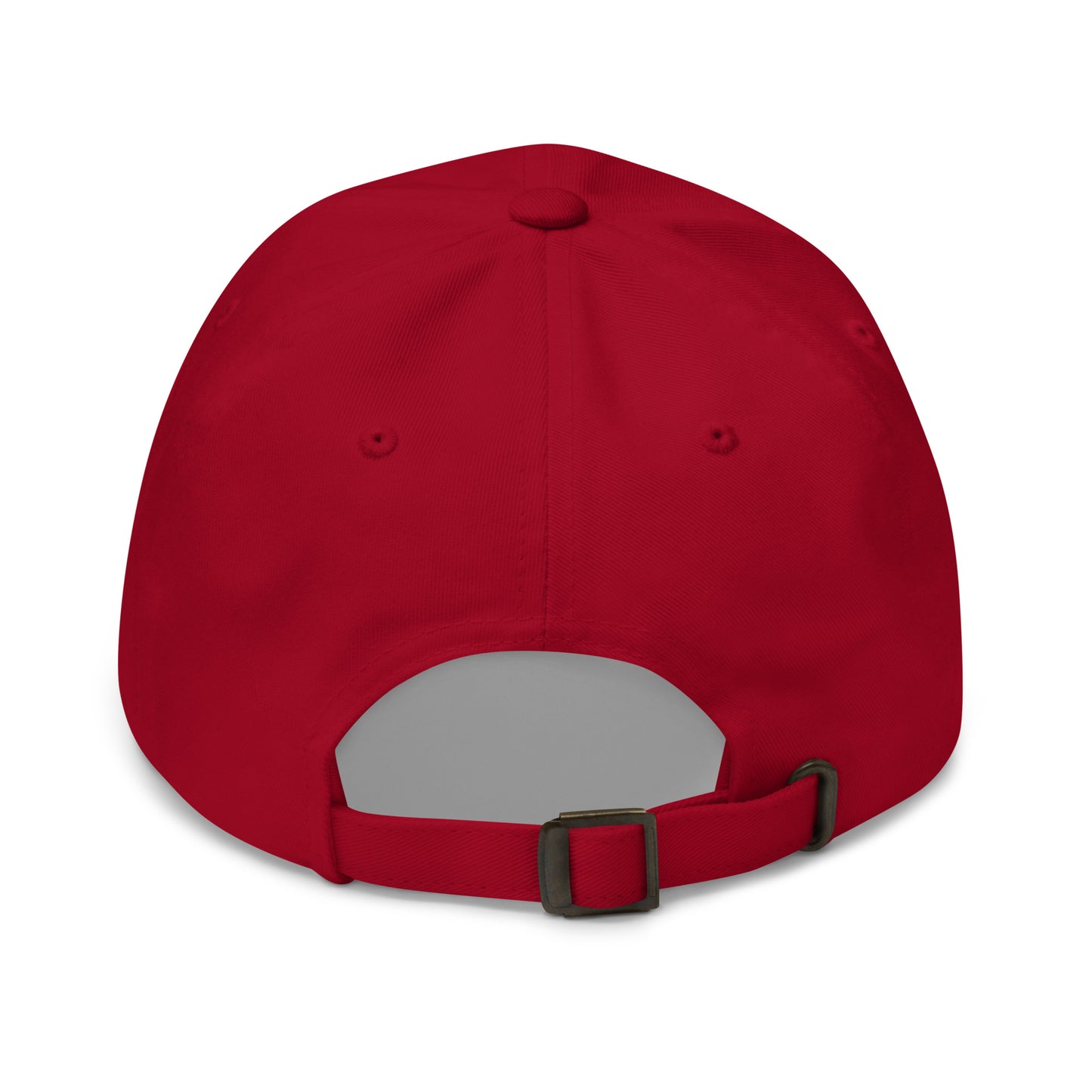 Observation Stored White Logo Hat