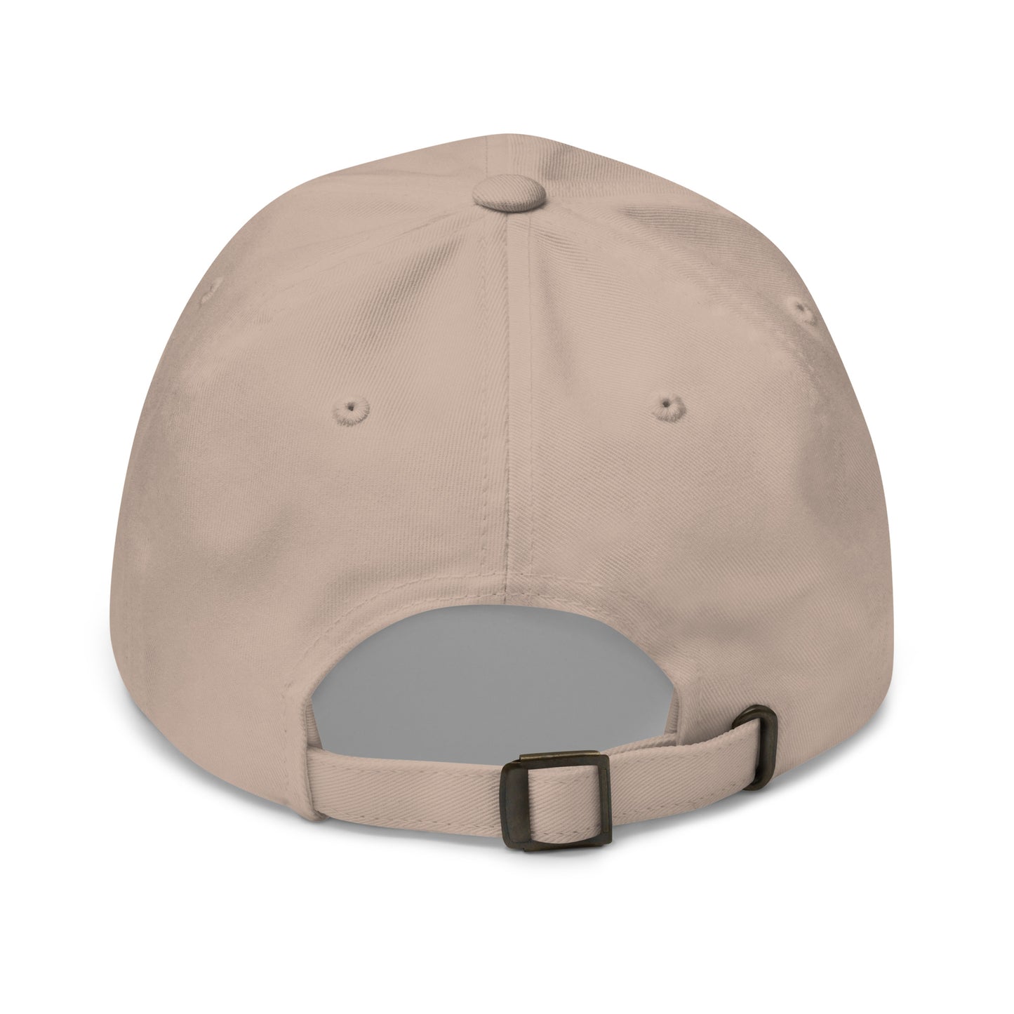 Observation Stored White Logo Hat